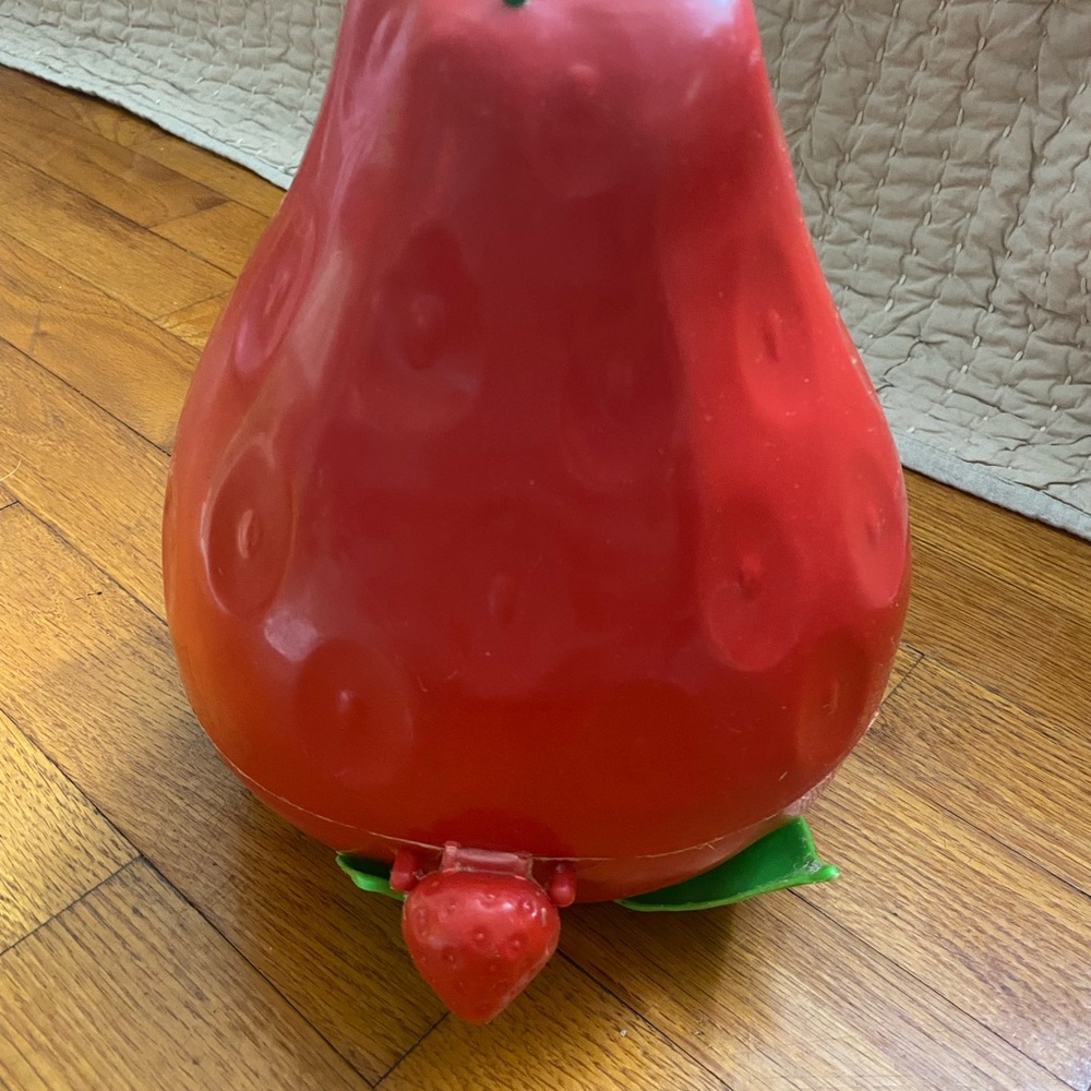 Vintage Strawberry Shortcake Carrying Case